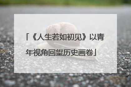 《人生若如初见》以青年视角回望历史画卷