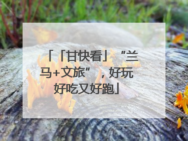 「甘快看」“兰马+文旅”，好玩好吃又好跑