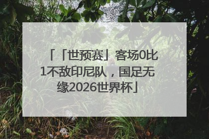 「世预赛」客场0比1不敌印尼队，国足无缘2026世界杯