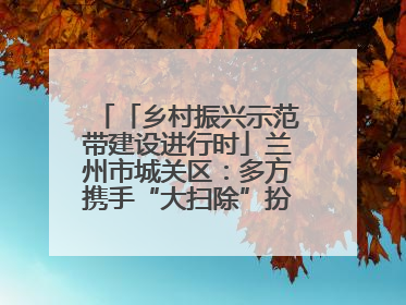 「乡村振兴示范带建设进行时」兰州市城关区：多方携手“大扫除”扮靓乡村“颜值”