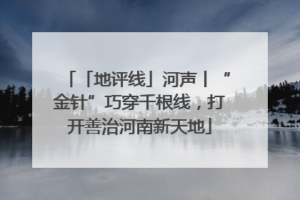 「地评线」河声丨“金针”巧穿千根线，打开善治河南新天地
