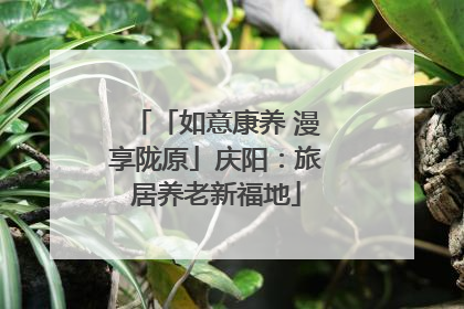「如意康养 漫享陇原」庆阳：旅居养老新福地