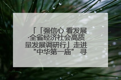 「强信心 看发展·全省经济社会高质量发展调研行」走进“中华第一庙” 寻根伏羲 祭祖龙城