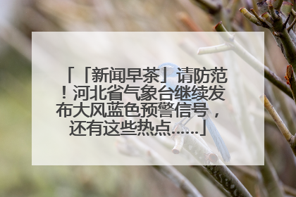 「新闻早茶」请防范！河北省气象台继续发布大风蓝色预警信号，还有这些热点……