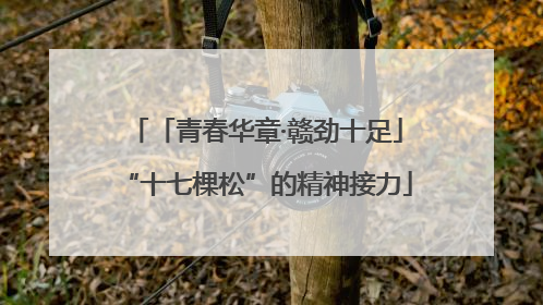 「青春华章·赣劲十足」“十七棵松”的精神接力