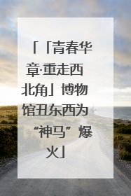 「青春华章·重走西北角」博物馆丑东西为“神马”爆火