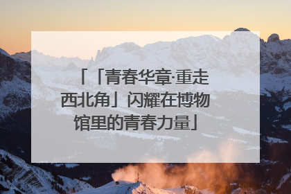 「青春华章·重走西北角」闪耀在博物馆里的青春力量