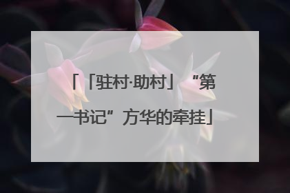 「驻村·助村」“第一书记”方华的牵挂
