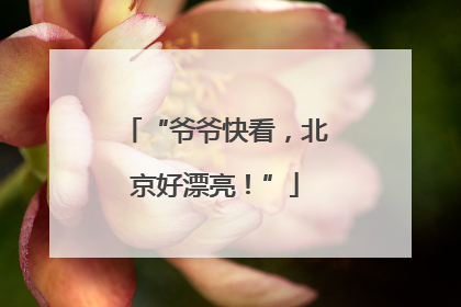 “爷爷快看，北京好漂亮！”