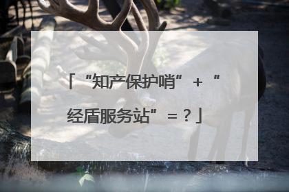 “知产保护哨”+“经盾服务站”=？