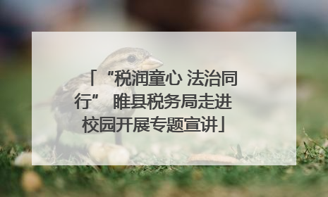 “税润童心 法治同行” 睢县税务局走进校园开展专题宣讲