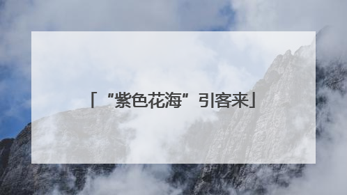 “紫色花海”引客来