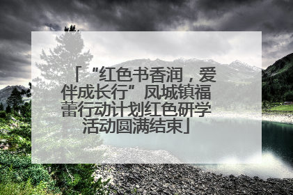 “红色书香润，爱伴成长行”凤城镇福蕾行动计划红色研学活动圆满结束