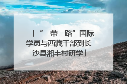 “一带一路”国际学员与西藏干部到长沙县湘丰村研学