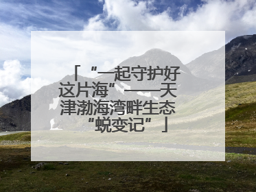 “一起守护好这片海”——天津渤海湾畔生态“蜕变记”