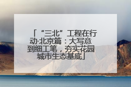 “三北”工程在行动·北京篇：大写意到细工笔，夯实花园城市生态基底