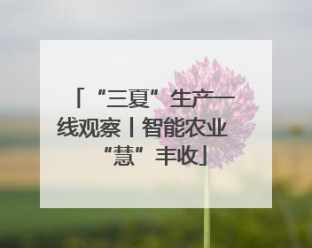 “三夏”生产一线观察丨智能农业“慧”丰收