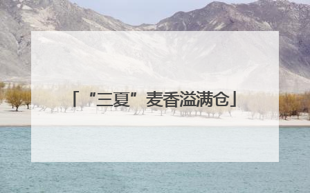 “三夏”麦香溢满仓