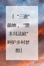 “三进”菌地，“黑木耳法庭”呵护乡村梦想