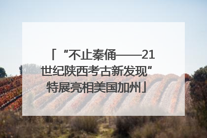 “不止秦俑——21世纪陕西考古新发现”特展亮相美国加州