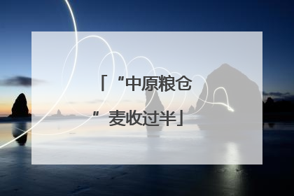 “中原粮仓”麦收过半