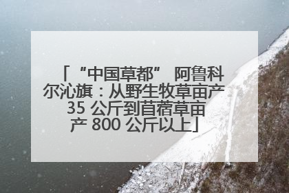 “中国草都” 阿鲁科尔沁旗：从野生牧草亩产 35 公斤到苜蓿草亩产 800 公斤以上