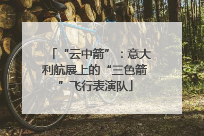 “云中箭”：意大利航展上的“三色箭”飞行表演队