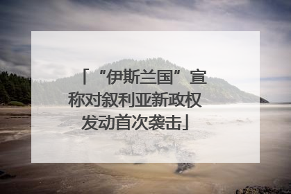 “伊斯兰国”宣称对叙利亚新政权发动首次袭击