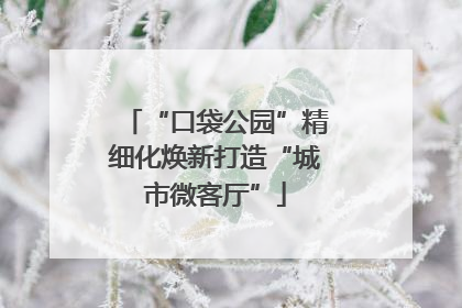 “口袋公园”精细化焕新打造“城市微客厅”