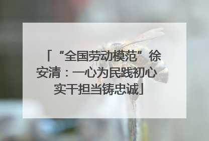 “全国劳动模范”徐安清：一心为民践初心 实干担当铸忠诚