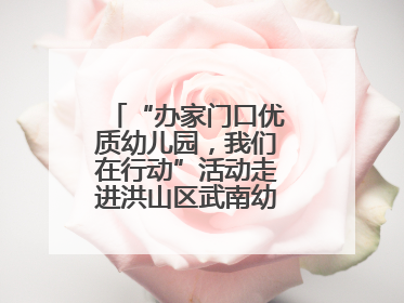 “办家门口优质幼儿园，我们在行动”活动走进洪山区武南幼儿园童趣园