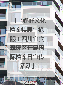 “哪吒文化档案特展”抢眼！四川宜宾翠屏区开展国际档案日宣传活动