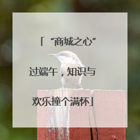“商城之心”过端午，知识与欢乐撞个满怀