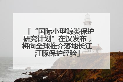 “国际小型鲸类保护研究计划”在汉发布，将向全球推介落地长江江豚保护经验