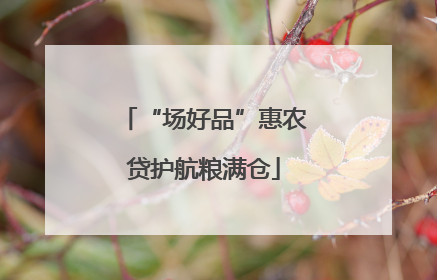 “场好品”惠农贷护航粮满仓