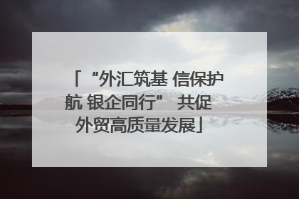 “外汇筑基 信保护航 银企同行” 共促外贸高质量发展