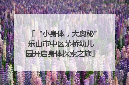 “小身体，大奥秘” 乐山市中区茅桥幼儿园开启身体探索之旅