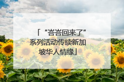 “峇峇回来了”系列活动传续新加坡华人情缘