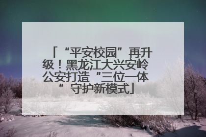 “平安校园”再升级！黑龙江大兴安岭公安打造“三位一体”守护新模式