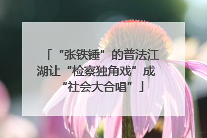“张铁锤”的普法江湖让“检察独角戏”成“社会大合唱”