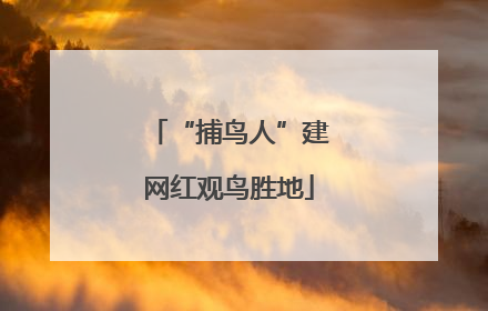“捕鸟人”建网红观鸟胜地