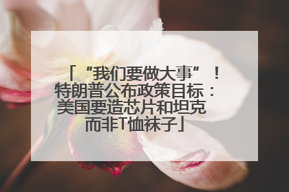 “我们要做大事”！特朗普公布政策目标：美国要造芯片和坦克 而非T恤袜子