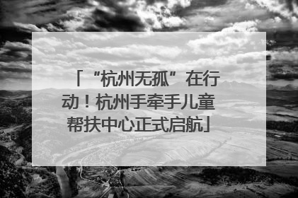“杭州无孤”在行动！杭州手牵手儿童帮扶中心正式启航