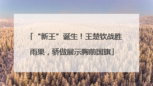 “新王”诞生！王楚钦战胜雨果，骄傲展示胸前国旗