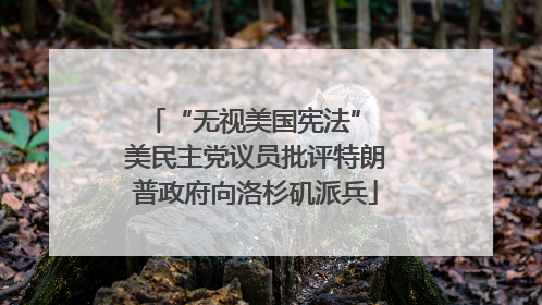 “无视美国宪法” 美民主党议员批评特朗普政府向洛杉矶派兵