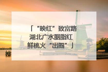 “映红”致富路 湖北广水胭脂红鲜桃火“出圈”