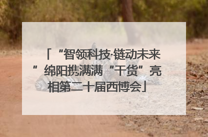 “智领科技·链动未来”绵阳携满满“干货”亮相第二十届西博会