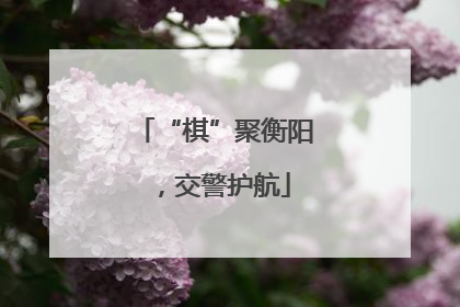 “棋”聚衡阳，交警护航