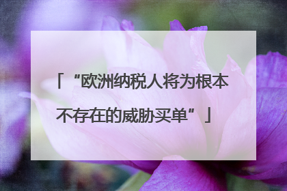 “欧洲纳税人将为根本不存在的威胁买单”