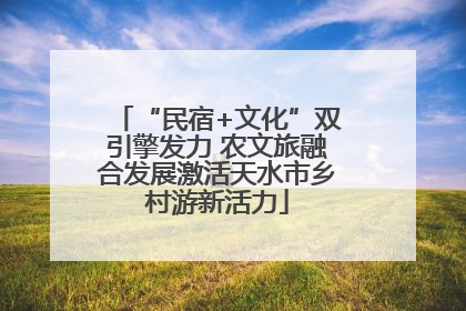 “民宿+文化”双引擎发力 农文旅融合发展激活天水市乡村游新活力